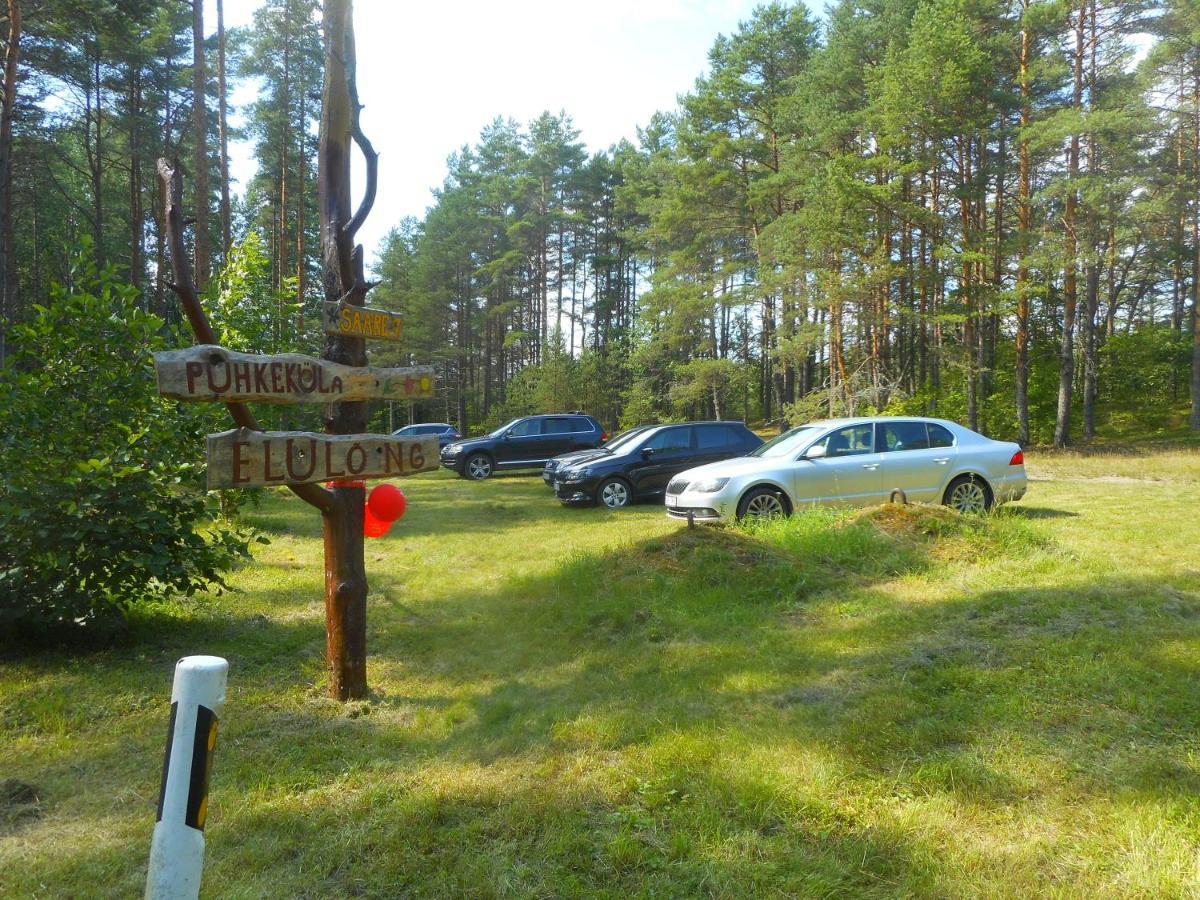 Elulong Camping Lohusuu Eksteriør bilde