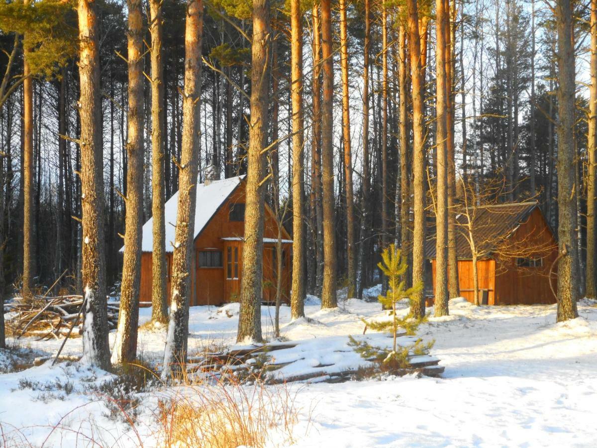 Elulong Camping Lohusuu Eksteriør bilde